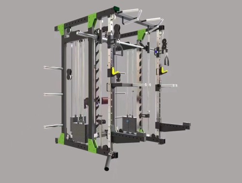 ZL101 Comprehensive Training Rack